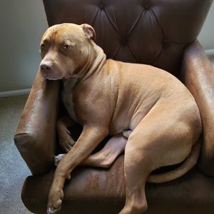 Meet your Posher, Gary